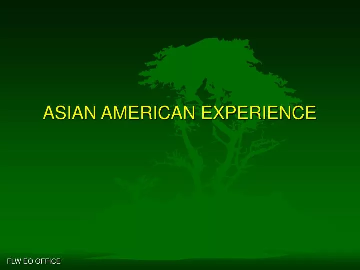 asian american experience