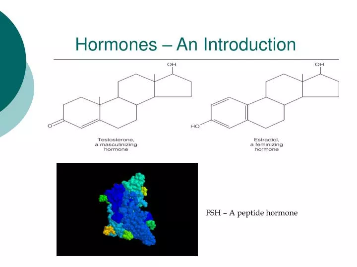hormones an introduction