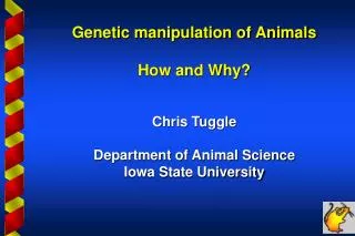 Genetic manipulation of Animals How and Why? Chris Tuggle Department of Animal Science