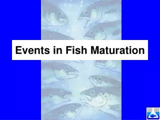 Events in Fish Maturation
