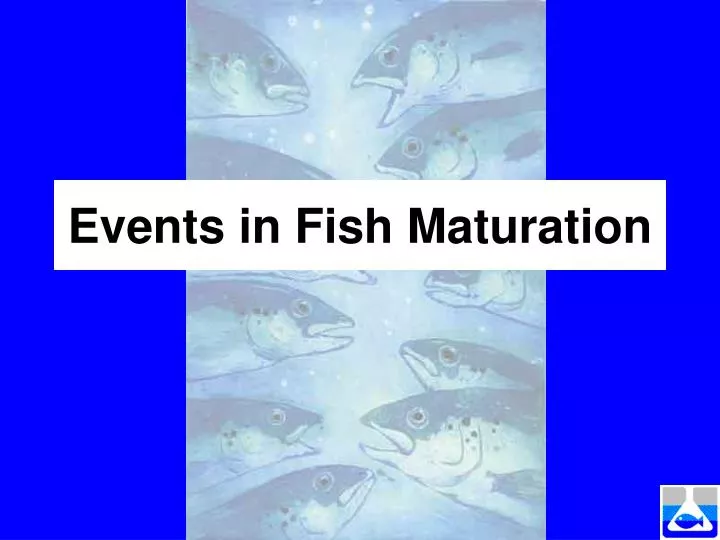 events in fish maturation