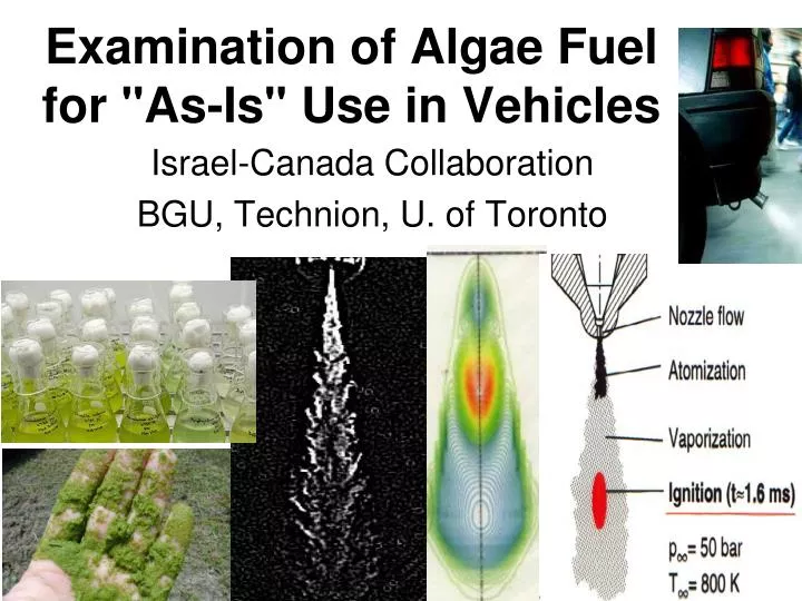 examination of algae fuel for as is use in vehicles