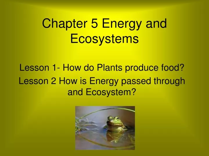 chapter 5 energy and ecosystems