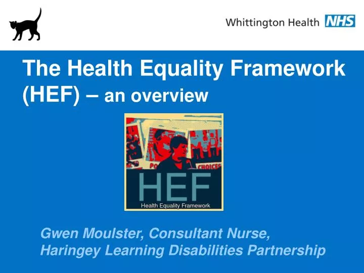 the health equality framework hef an overview