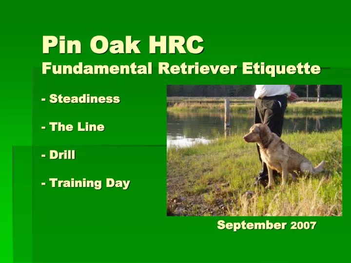 pin oak hrc fundamental retriever etiquette steadiness the line drill training day september 2007