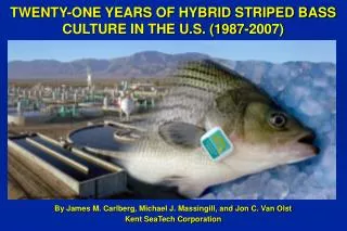 TWENTY-ONE YEARS OF HYBRID STRIPED BASS CULTURE IN THE U.S. (1987-2007)