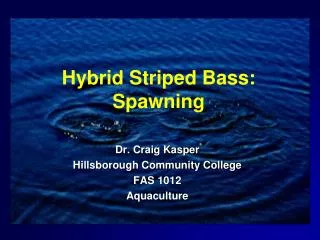 Hybrid Striped Bass: Spawning