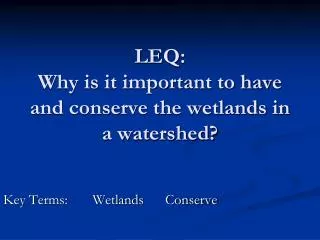 LEQ: Why is it important to have and conserve the wetlands in a watershed?