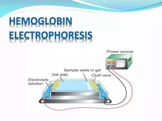 Hemoglobin Electrophoresis