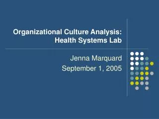 Organizational Culture Analysis: Health Systems Lab