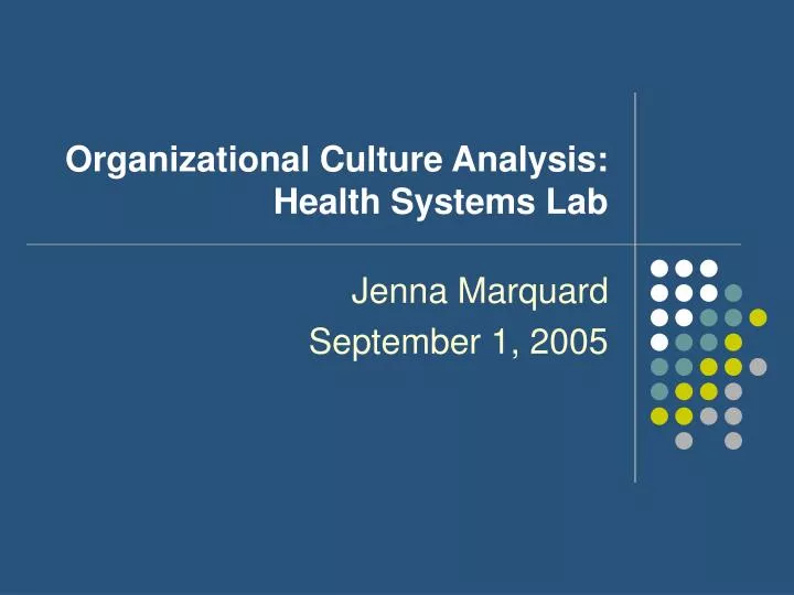 organizational culture analysis health systems lab