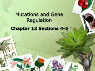 Mutations and Gene Regulation