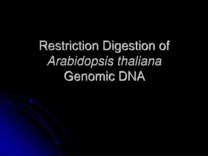 restriction digestion of arabidopsis thaliana genomic dna