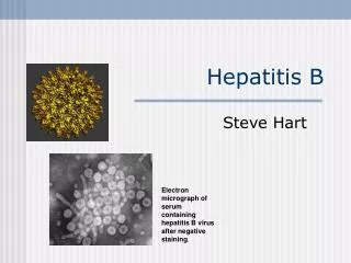 Hepatitis B