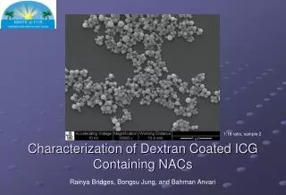 Characterization of Dextran Coated ICG Containing NACs