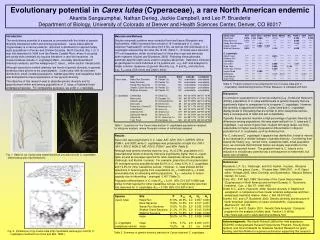 Evolutionary potential in Carex lutea (Cyperaceae), a rare North American endemic