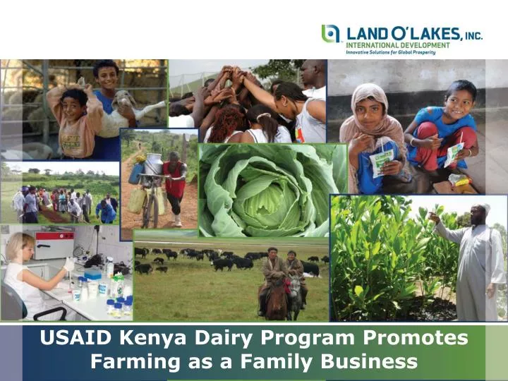 usaid kenya dairy program promotes farming as a family business