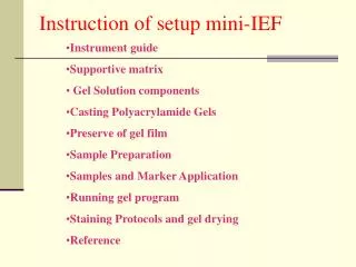 Instruction of setup mini-IEF