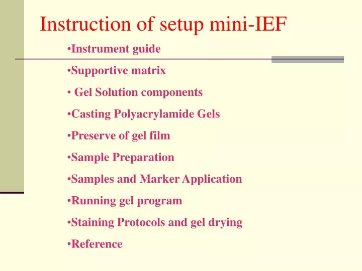 instruction of setup mini ief