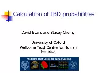 Calculation of IBD probabilities
