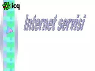 Internet servisi