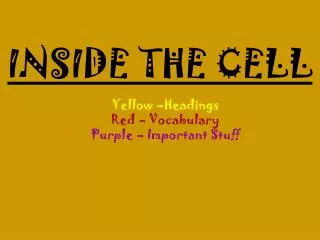 inside the cell