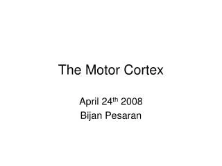 The Motor Cortex