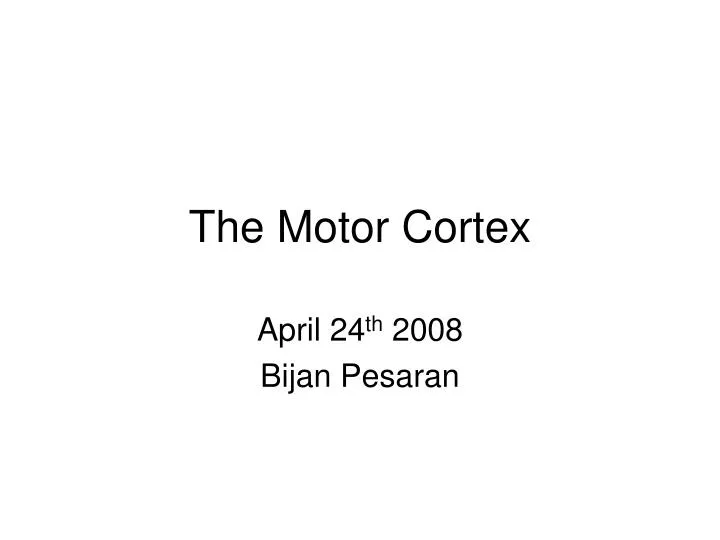 the motor cortex