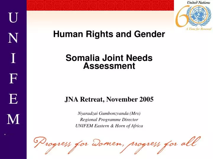 human rights and gender somalia joint needs assessment