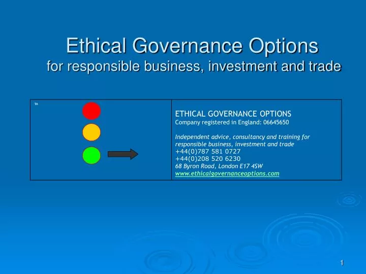ethical governance options for responsible business investment and trade