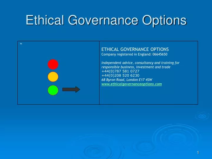 ethical governance options