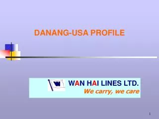 DANANG-USA PROFILE