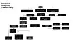 Juvenile Delinquency Case Handling Procedures by Law Enforcement and Courts - slide 1