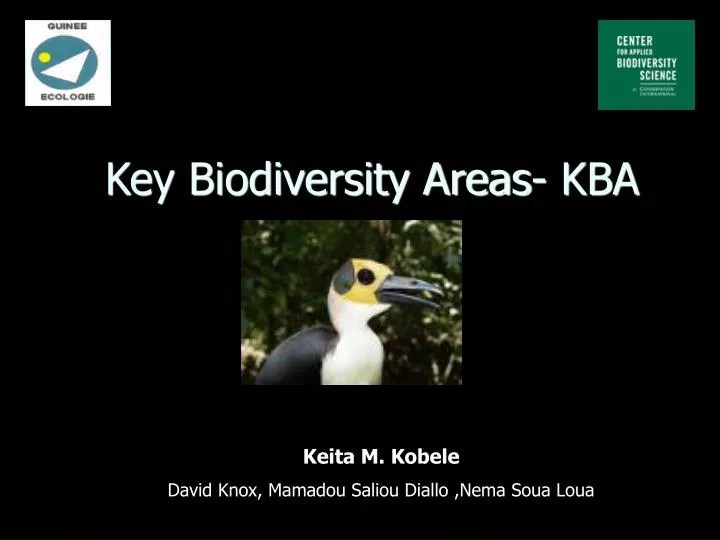 key biodiversity areas kba