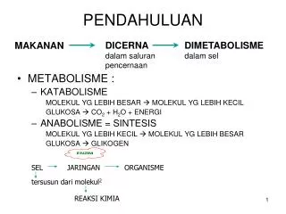 pendahuluan