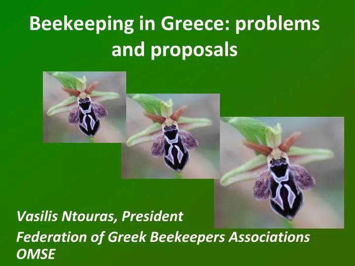 beekeeping in greece problems and proposals