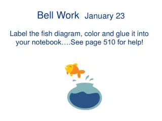 Bell Work January 23