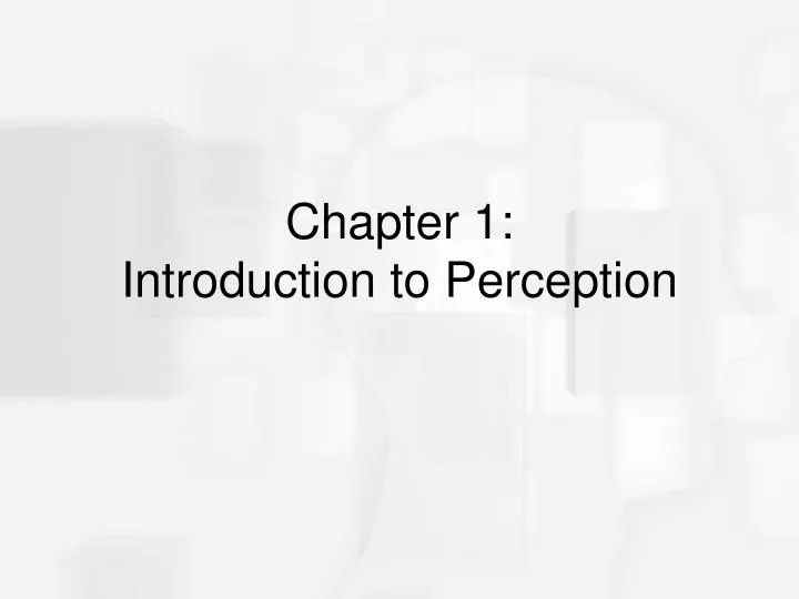 chapter 1 introduction to perception