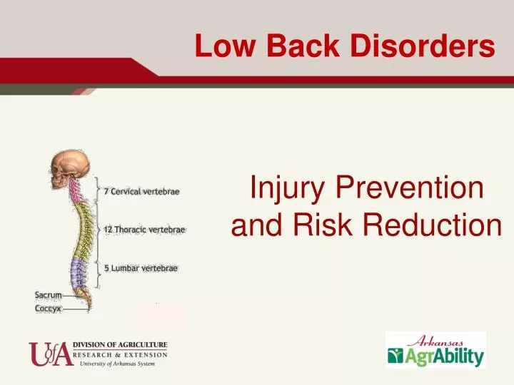 low back disorders