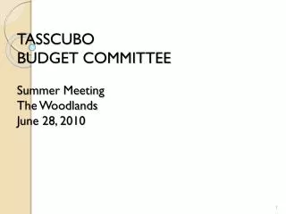 TASSCUBO BUDGET COMMITTEE Summer Meeting The Woodlands June 28, 2010
