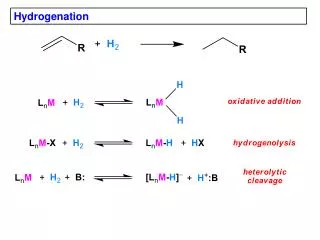 Hydrogenation