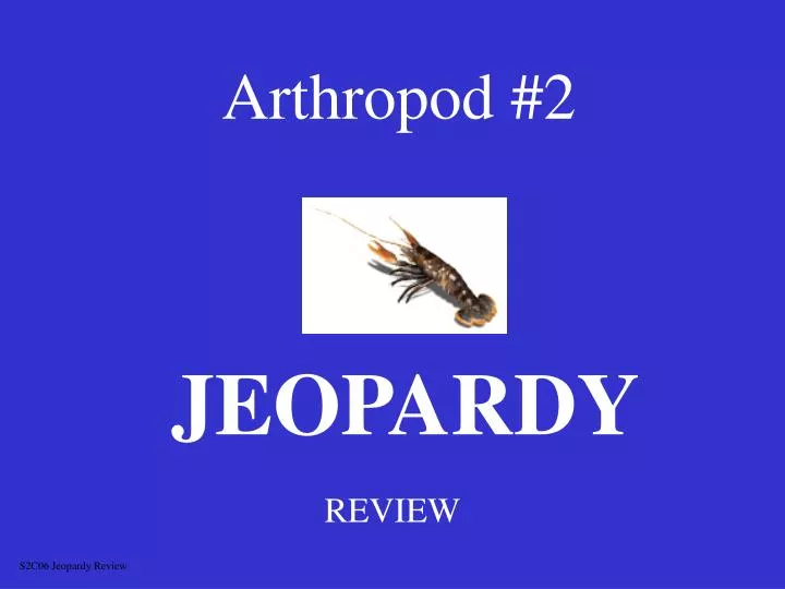 arthropod 2