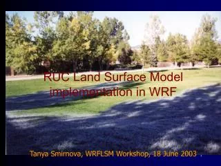 RUC Land Surface Model implementation in WRF Tanya Smirnova, WRFLSM Workshop, 18 June 2003