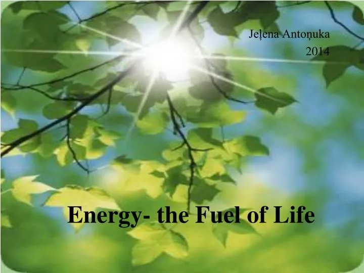 energy the fuel of life