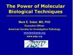 The Power of Molecular Biological Techniques - slide 1