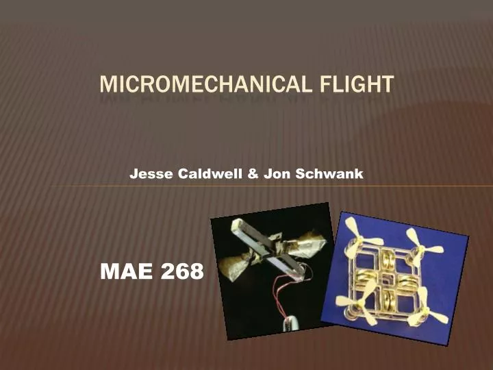micromechanical flight