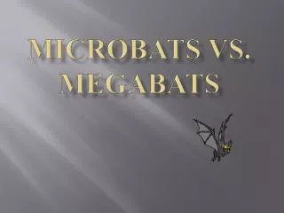 Microbats vs. Megabats