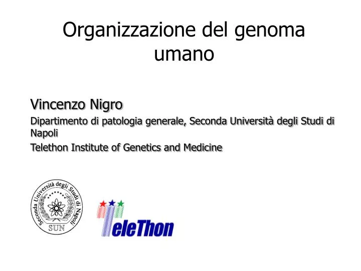 organizzazione del genoma umano