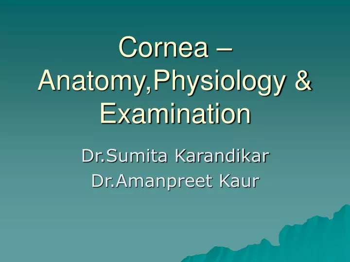 cornea anatomy physiology examination