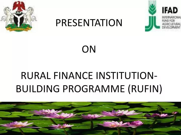 presentation on rural finance institution building programme rufin